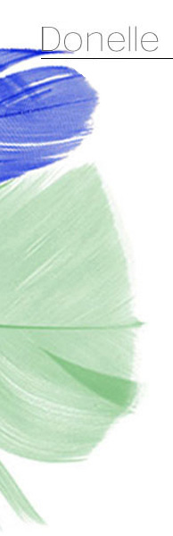 Feather logo image for Donelle Design