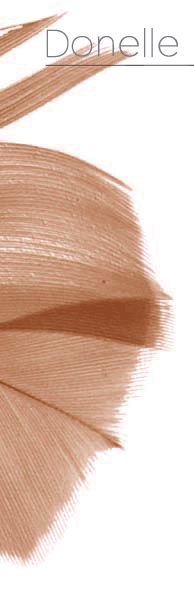 Feather logo image for Donelle Design