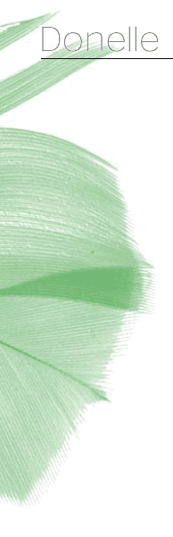 Feather logo image for Donelle Design